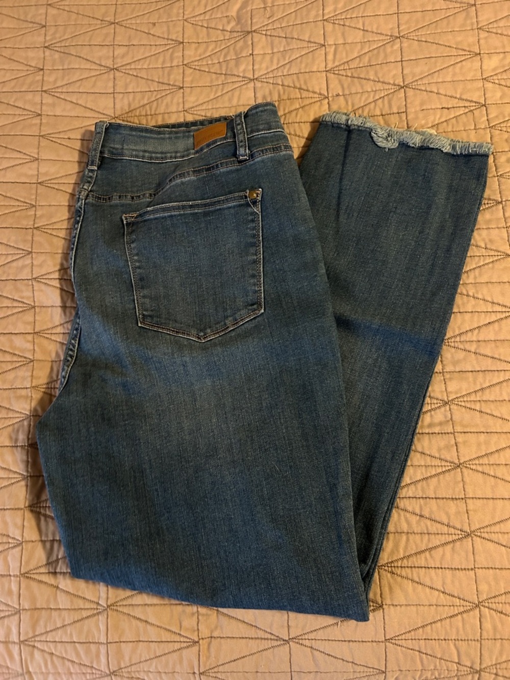 Judy Blue Medium Wash Straight Leg Jeans with Frayed Hem